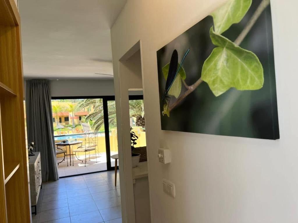 Atlantic Garden Andrew Apartments Pool Air Conditioning كوراليهو المظهر الخارجي الصورة